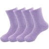 09 - Lilacs Lavender