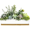 image:imageCeramic Succulent Pots  1 Pot  Long Rectangle  with Bamboo Tray  White  11White  Long Pot
