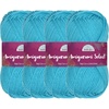 image:imageJubileeYarn Amigurumi Select Yarn  DK Acrylic  Scabiosa  4 Skeins06 Morning Glory