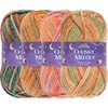 image:imageJubileeYarn Chunky Melody Yarn  100gSkein Bulky Wool Blend  Shades of Orange  4 SkeinsShades of Orange