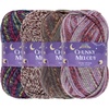 image:imageJubileeYarn Chunky Melody Yarn  100gSkein Bulky Wool Blend  Shades of Orange  4 SkeinsShades of Purple