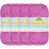 31 Açaí Berry