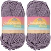 27 Light Purple Grape