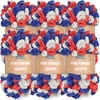 024 Red White Blue