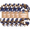 029 Gold Navy White