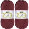 003 Plum Raisin
