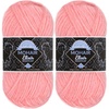 17 Desert Rose