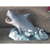 Great White Shark - CA04217