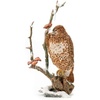 Hawk Waiting - CA05507