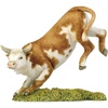 Mini Bucking Bull - CA04597