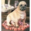 Pug - SM89031