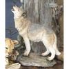Wolf Howling - CA04157