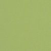 image:imageSunbrella Canvas Gingko 54011 Indoor  Outdoor Upholstery Fabric by Sunbrella  BambooMN
