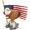 National Pride - CA04634
