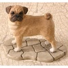 Pug - SM89071
