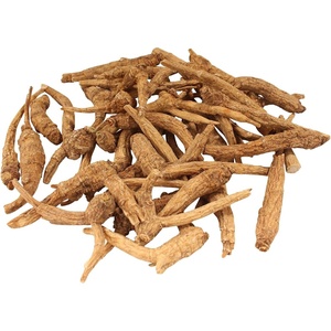 image:imageBambooMN Ginseng Root Large 3 Year Old American Grown Cultivated for Soups and Teas  Large Root  80160 pcs  16 ozMedium