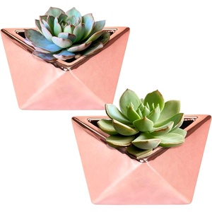 image:imageBambooMN Succulent Ceramic Pots  2 Pots  Gem Shape  Copper Color  482 Copper Gem Pots