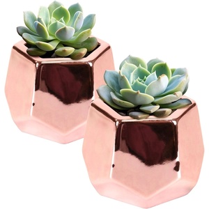 image:imageBambooMN Succulent Pots  2 Pots  Hexagonal  Copper  352 Copper Hex Pots