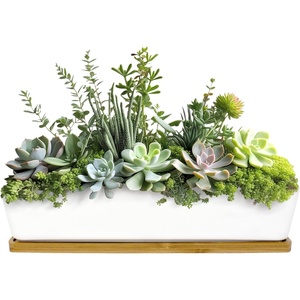 image:imageCeramic Succulent Pots  1 Pot  Long Rectangle  with Bamboo Tray  White  11White  Long Pot