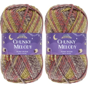 image:imageJubileeYarn Chunky Melody Yarn  100gSkein Bulky Wool Blend  Sea Mist  2 Skeins04 Splitpea Carrot