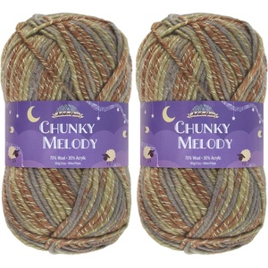 image:imageJubileeYarn Chunky Melody Yarn  100gSkein Bulky Wool Blend  Sea Mist  2 Skeins06 Lodge Forest