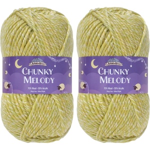 image:imageJubileeYarn Chunky Melody Yarn  100gSkein Bulky Wool Blend  Sea Mist  2 Skeins29 Limeade Heather