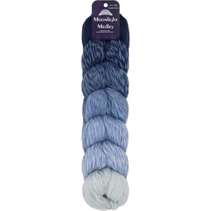 image:imageJubileeYarn Moonlight Medley Yarn  200gHank Ombr DK Merino WoolAcrylic  Cancer  1 Hank02 Aquarius