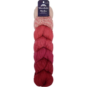 image:imageJubileeYarn Moonlight Medley Yarn  200gHank Ombr DK Merino WoolAcrylic  Cancer  1 Hank04 Capricornus