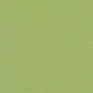 image:imageSunbrella Canvas Gingko 54011 Indoor  Outdoor Upholstery Fabric by Sunbrella  BambooMN