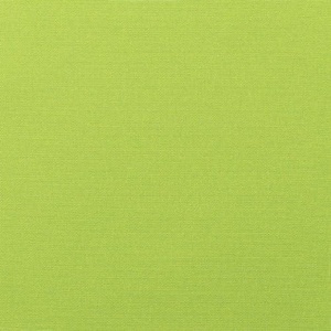 image:imageSunbrella Canvas Macaw 54290000 IndoorOutdoor Upholstery Fabric