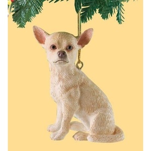 image:imageWhite Tailed Deer Stog  CA04572  Natural WorldChihuahua  SM89195