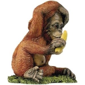 image:imageWhite Tailed Deer Stog  CA04572  Natural WorldOrangutang  CA04779