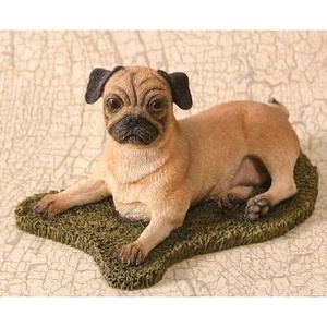 image:imageWhite Tailed Deer Stog  CA04572  Natural WorldPug  SM89032