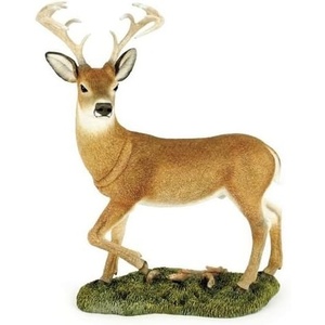 image:imageWhite Tailed Deer Stog  CA04572  Natural WorldWhite Tailed Deer Stog  CA04572