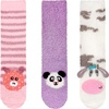 Assortment 19