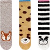 Assortment 26