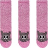 08 Pink Raccoon