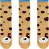 12 Dog