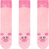 15 Pig