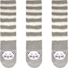 16 Grey Cat