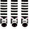 17 Zebra