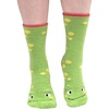 11 Frog