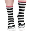 13 Stripe Bear