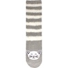 16 Grey Cat
