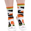 21 Calico Cat