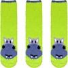 05 Hippo