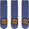 06 Lion