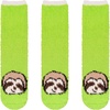 Sloth