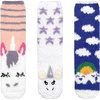 3 Pairs Asst D